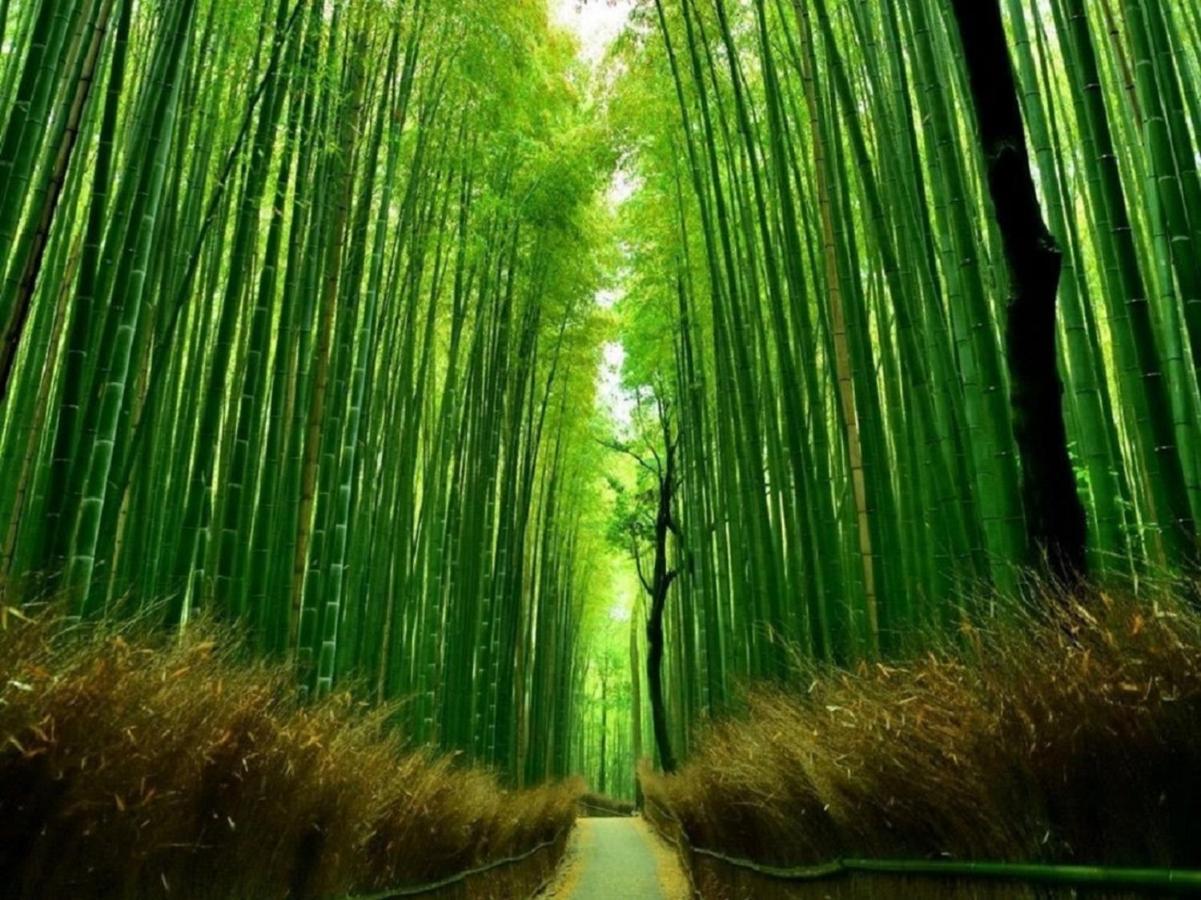 行灯離れ京都五条 Andon Hanare Kyoto Gojo Екстериор снимка